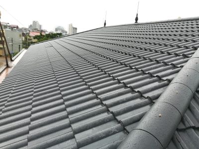 Ngoi Mau Fuji Ttc (4)