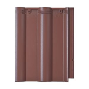 Ngoi Chinh Fuji Ttc (2)