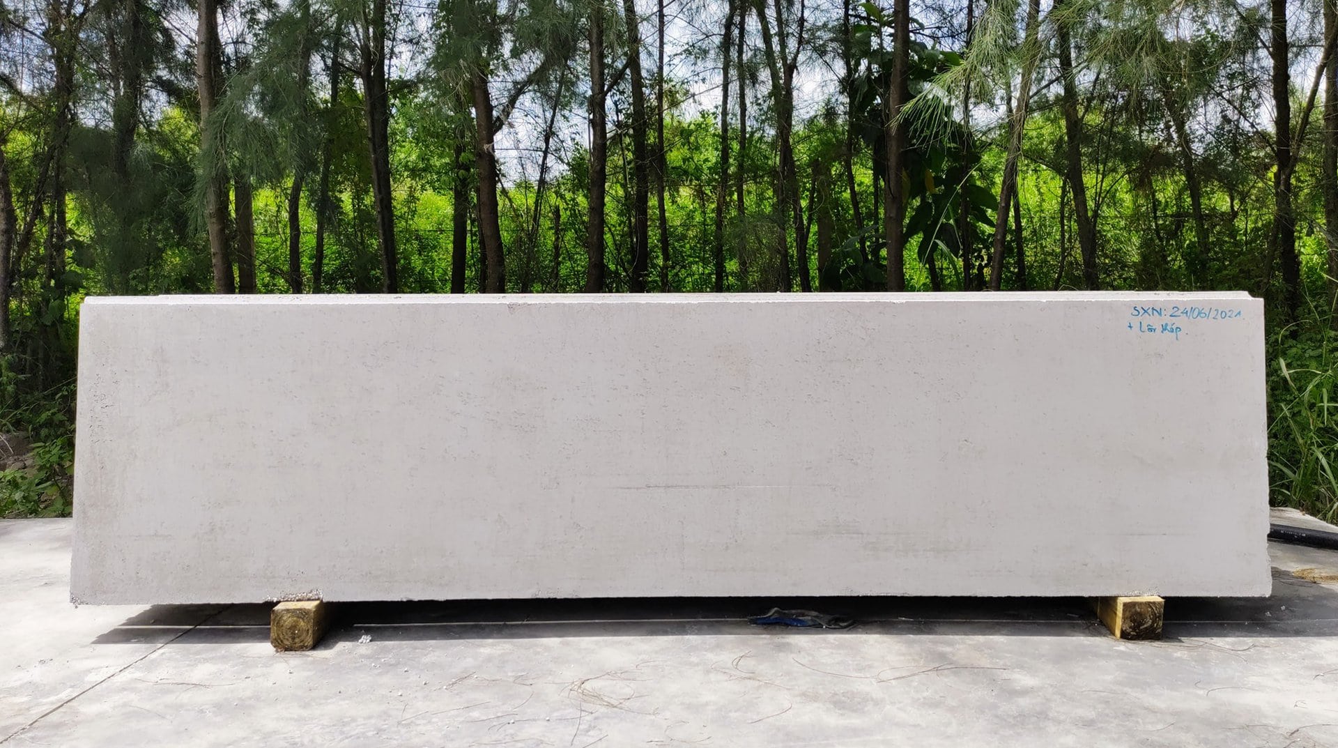 215270926 120738226925645 1077167510269132642 N