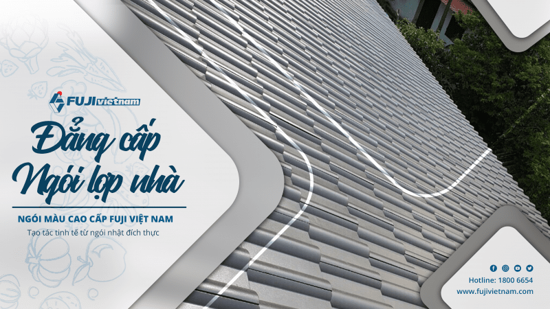 Đẳng Cấp Ngói Lợp